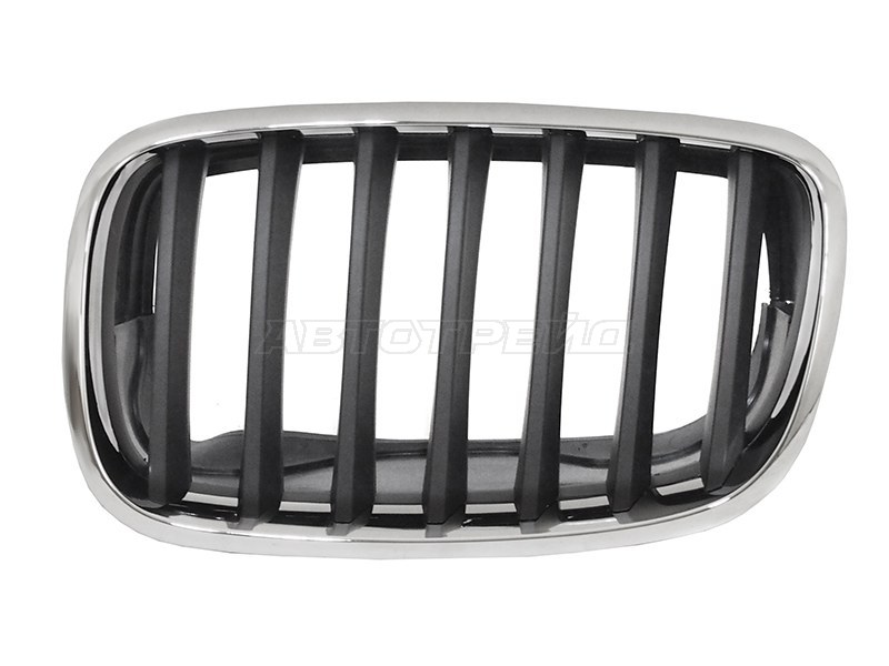 Решетка радиатора BMW X5 06-10 (Слева)