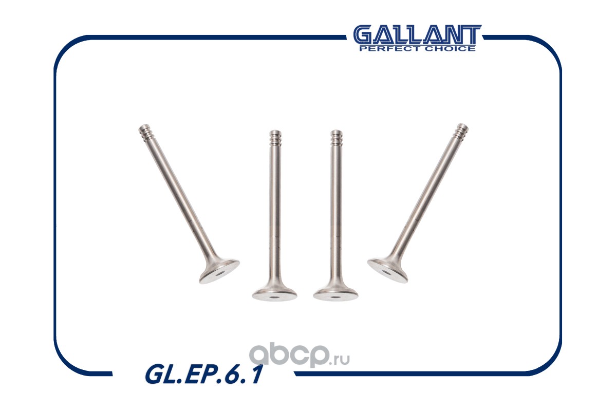 Gallant GLEP61 — Клапана впуск+выпуск