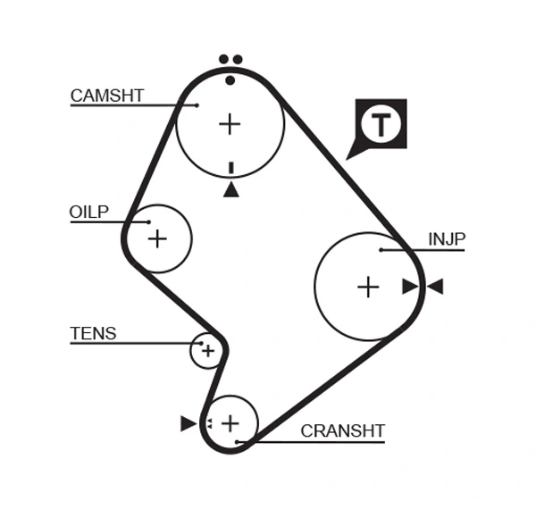 129x31 Ремень ГРМ