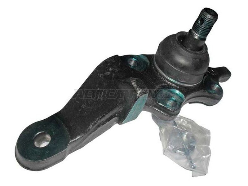 Шаровая опора Toyota Land Cruiser Prado (J90) 96-02 / 4Runner 95-02 (Снизу / Спереди / Справа)